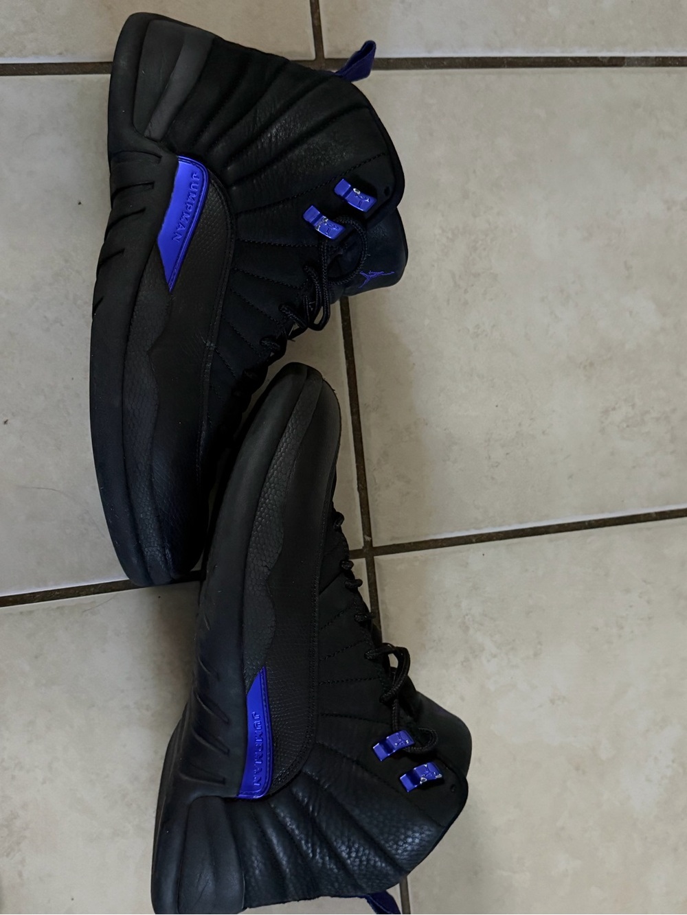 Air Jordan 12 dark concord
